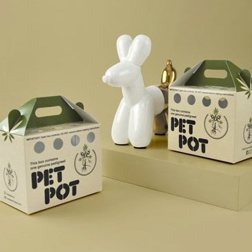 Boxaiz-products-show-wide-7.jpg